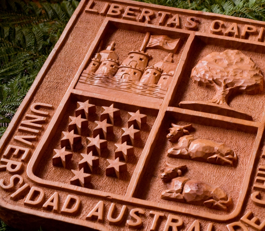 UACh Sede Puerto Montt